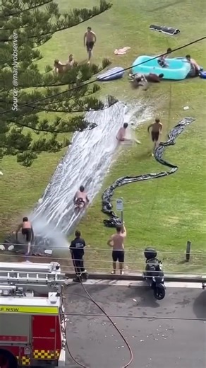7.5K views · 39 reactions | Giant fighting kangaroos, an infestation of beach cabanas at North Narrabeen, and an incredible slip and slide at Freshwater – made better with an intervention by Fire and Rescue NSW – were some of the quirkier sights on this Australia Day long weekend. SEE MORE: https://bit.ly/40OfxIP | Daily Telegraph | Facebook
