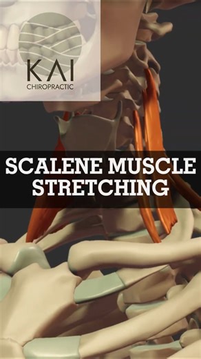 Scalene stretch exercise