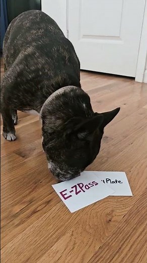 Save Money with E-ZPass Compared to Toll By Plate