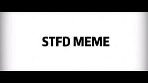 【自设/meme】STFD meme