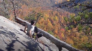 Climbers Push Dead Tree Over Cliff (Crazy Video)