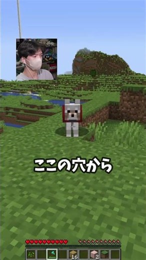 この愛犬は誰？😨