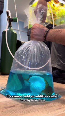 Chillin’ with Jimmy: Goldfish, Beers & Unexpected Moments