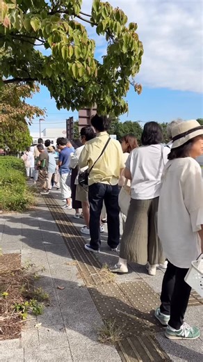 たまちゃんず農園 on Instagram: "はじまるよ 整いました！ 皆さまにお会いできるのを 楽しみにお待ちしています🥰 bizarke farm AUTUMN FES 2025.09.27-28 SAT-SU 10:00-16:00 ＠道の駅いちごの里よしみ @bizarre_farm 🌵🌵🌵🌵🌵🌵🌵🌵🌵🌵🌵🌵 愛知県春日井市の多肉屋さん たまちゃんず農園 📣入手困難な作家さんの作品が 先行購入できたり、さぼてんやエケベリアを特別価格で購入できる【メンバーシップ】 “たまちゃんず倶楽部”には、 プロフィール欄の🔗 1番上の【たまちゃんず倶楽部】からご入会できます！（月額500円） ℹ️Instagramは3つあるよ それぞれ違うことをpostしてます ☝️たまちゃんず農園 @tamachanzunouen ☝️たまちゃんず農園たま男 @tamachanzunouen_tamao_ ☝️たまちゃんず農園たま子 @tamachanzunouen_tamako_ ☝️ハートマルシェ @heart_marche_tama ℹ️YouTubeは2つあるよ （