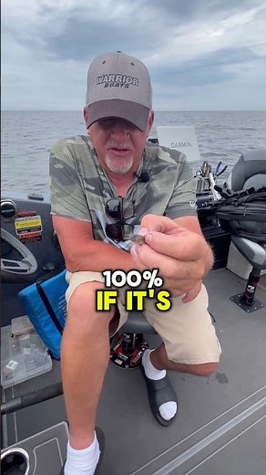 What the H-E-Double-Toothpicks is THIS?! 🤬👇 #fishing #walleye #walleyefishing
