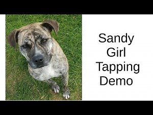 Sandy Girl EFT/Tapping for Rescue Dogs Demonstration