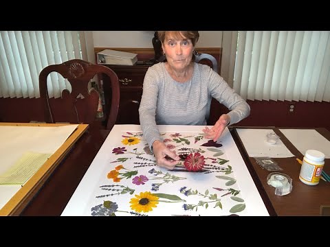 Pressed Flower Art - Summer Garden