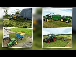 The silage process and the winter feeding for 350 head of cattle
