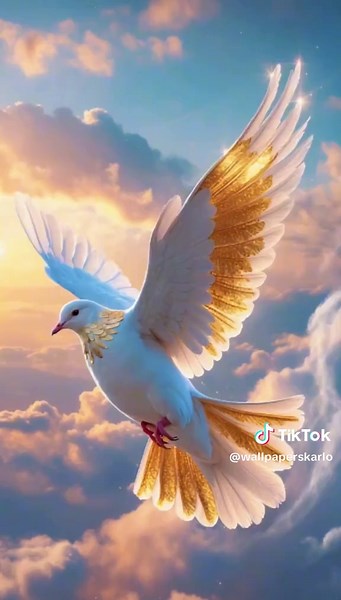 Elegant Golden Pigeon Flying in HD Wallpaper