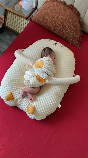 🔔 Dual Arm Cuddle Support Baby Anti Roll Pillow – Parents Finally Relax ( # 3092 )