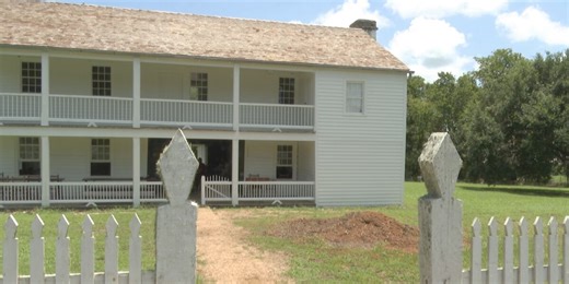 Fanthorp Inn State Historic Site’s cedar elm tree cut down following damage from Beryl