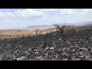 SOS Cerrado de Pé e Vivo, em Alto Paraíso de Goiás - Combate aos incêndios criminosos