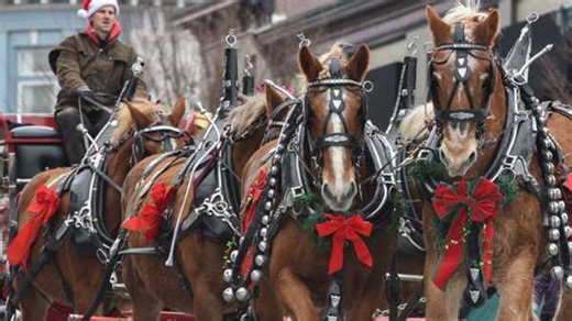 Ohio's largest horse-drawn carriage parade happening next month