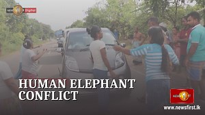 3.6K views · 41 reactions | Sri Lankan locals protest against worsening Human-Elephant conflict #lka #SriLanka #SLnews #News1st #HumanElephantConflict #Protest #Eng | Newsfirst.lk | Facebook