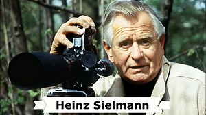 Heute wäre der 104. Geburtstag des deutschen Tierfilmers † Heinz Sielmann (* 2. Juni 1917 in Rheydt; † 6. Oktober 2006 in München). Der Naturfilmer mit dem Blick fürs Unscheinbare. "Expeditionen ins Tierreich" haben ihn berühmt gemacht: Heinz Sielmann. Der Zoologe, Tierfilmer und Buchautor hat seinen Kindheitstraum gelebt. Ob Arktiswolf oder Sumpfschildkröte - gern zeigte sich Heinz Sielmann mit den Tieren, über deren Leben er viele Jahrzehnte lang berichtete. Mit seiner markanten Stimme und dem
