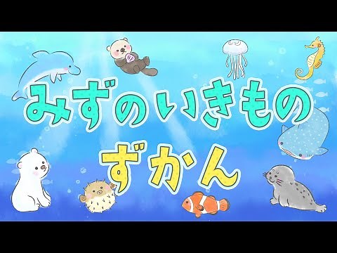 【知育動画】水の生き物ずかん〜水辺と海辺の生き物たちの名前を覚えよう【Educational Videos for Kids】