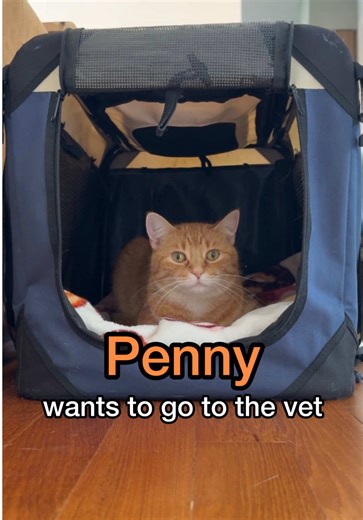 what is wrong with this woman | dangerous woman