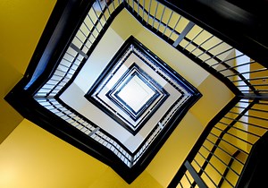 The Brain and Space - Online Duke