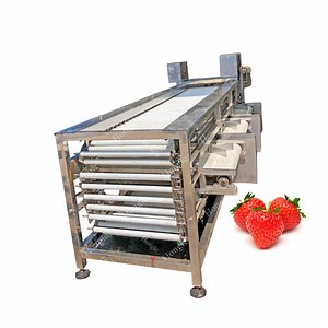 [Hot Item] Cherry Blueberry Sorting Machine Strawberry Dates Grading Machine