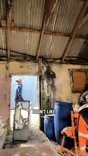 Exploring Life on the Farm: A Vlog Journey