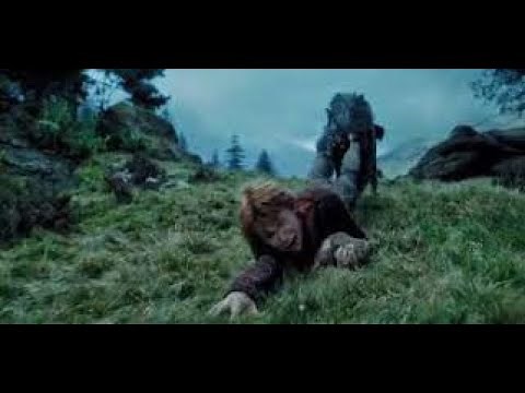 The Grim attacks Ron. Harry meets Sirius Black-Harry Potter and The Prisoner of Azkaban movie Scenes