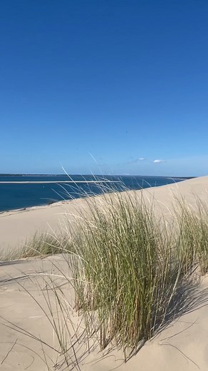 ✨ Accès direct à la Dune du Pilat ! ✨ Depuis le camping, suivez notre chemin privé et grimpez en quelques minutes au sommet de la plus haute dune d’Europe. Profitez d’un panorama incroyable sur l’océan et le Banc d’Arguin. Un point de vue exceptionnel rien que pour vous ! 🌊☀️ #campingpanorama #yellohvillage #panorama #dunedupilat #campingnature #vacancesenfrance #bassinarcachon #plageocean #sejourenfamille #campinglife #paysagefrancais | Yelloh Village Panorama du Pyla