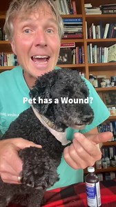 135K views · 3.2K reactions | Never use Peroxidefor this #peroxide #hydrogenperoxide #wound #antiseptic | Daily Pet Tips | Facebook