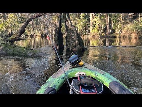 Lumber River Kayaking+Great Tips & River Survival from Natives!#hitlikebutton #lumber river