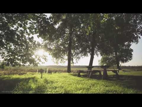 10 Hours of Peaceful Countryside Sounds in 4K UHD – Relax, Sleep & Meditate #relaxingatmosphere