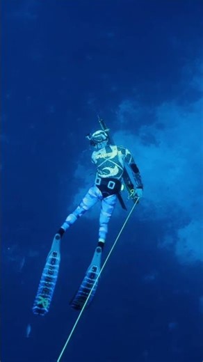 Spearfishing Dogtooth tuna #travel #divng #spearfishing