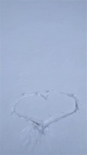 14th February 2022 I recorded this video for Tik Tok to post on Valentine's Day 🥹❤️ From Pripyat, with love ☢️ Sorry, I missed posting this video on 14th February this year😁 Hope you | Chernobyl Guide