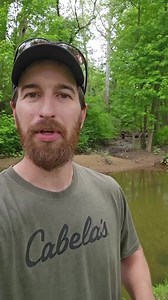 12K views · 847 reactions | Trout catch and cook   #foryou #foryoupage #catchandcook #survival #outdoors #selfreliance #fishing #trout #livingofftheland | Bushcraft Life | Facebook