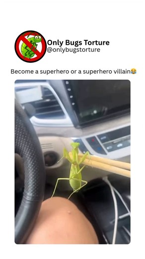 @bugsvideosonly on Instagram: "The sound or feeling of a bug being squashed may provide a weirdly tangible sense of accomplishment. That physical feedback can reinforce the action, especially if the person had to chase or trap the insect first. It becomes a moment where instinct meets outcome, no matter how minor."