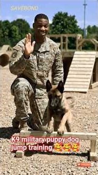 K9 Military Puppy Jump Training 🐕‍🦺🔥 | Future Army Dog Skills 🇺🇸#shorts#trending#shortfeed #explore