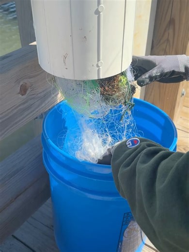 Coastal Conservation and Restoration Program on Reels