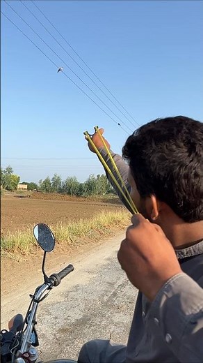 slingshot birds hunting