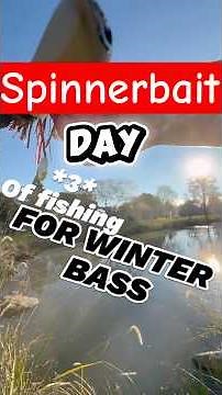 The Spinner Bait #fishing