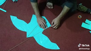 How to Make a Kite: A Beginner's Guide to Kite Flying