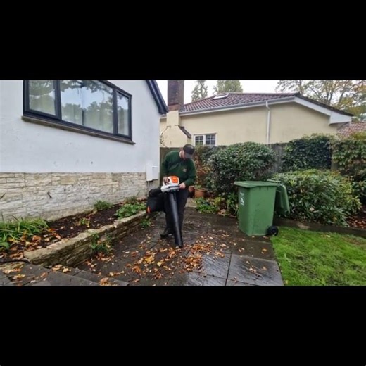 Leaf Cleanup on Fresh Seed - Vac & Shred with STIHL SHA 140 #garden #gardeningvideos #ukgardening