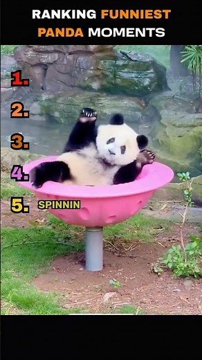 RANKING FUNNIEST PANDA MOMENTS🤑🤑