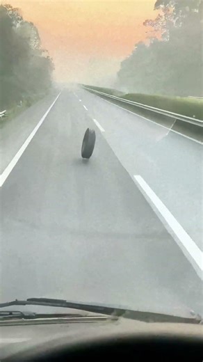 Truck tire fell off, ran wildly on the highway, driver was scared!