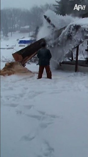 The moment he realized he wasn't a lumberjack 😵 #afvclassics #fail #funny