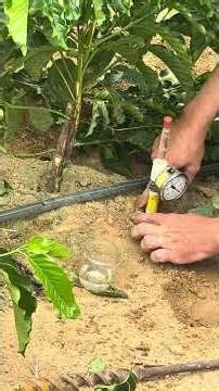 Installing a tensiometer