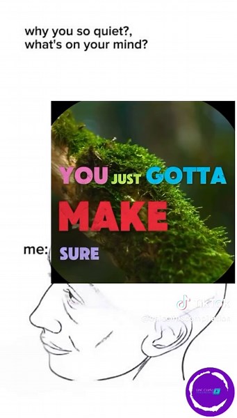 Funny Memes to Brighten Your Day