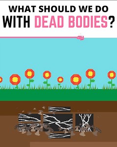 We have a dead body problem, but here are the solutions: https://linktw.in/3ONV5D | Life Noggin