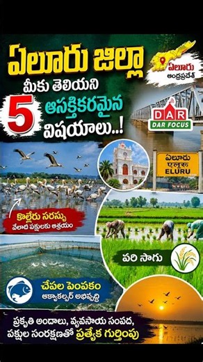 Top 5 Amazing Facts About Eluru District, Andhra Pradesh | Latest updates | DAR FOCUS #darfocus
