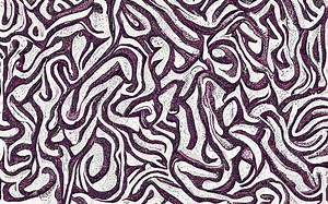 Can soy protein isolate cause stomach issues? [2025] | QAQooking.wiki