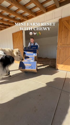 The Husky Fam on Instagram: "Mini farm reset & restock with @chewy 🐮🐓🌾 Everything our farm needs, all in one place. Chewy makes caring for our animals easy with fast delivery, Autoship that remembers for you, and free shipping on orders over $49. #chewypartner #farm #reset"