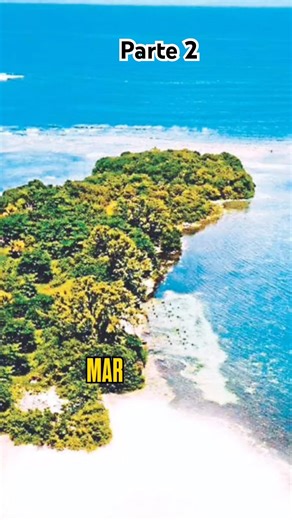 Countries with 2 oceans 🌊🏝️ #mexico #fly #curiosities #funfacts #ocean #shorts #usa #amazing