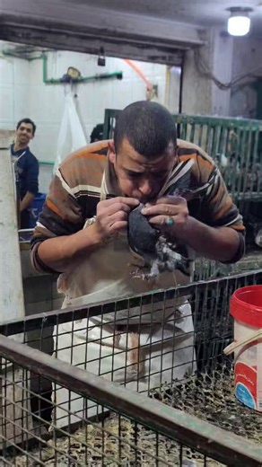 ما هذا أيها الشعب المصري …! 😱